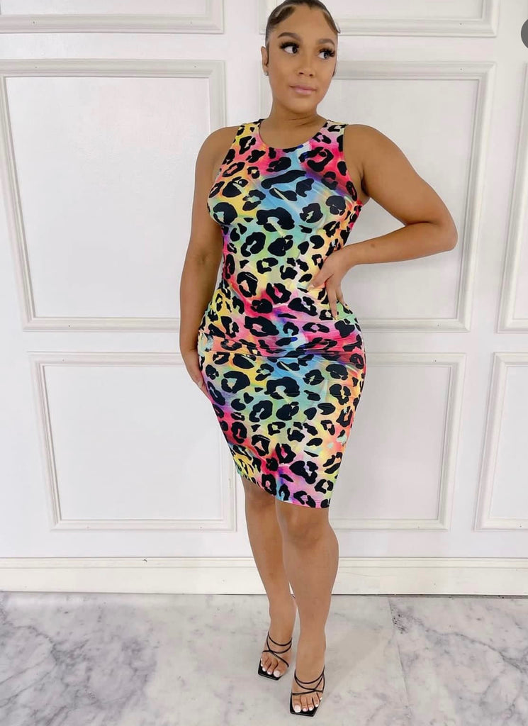 Colorful Leopard Dress